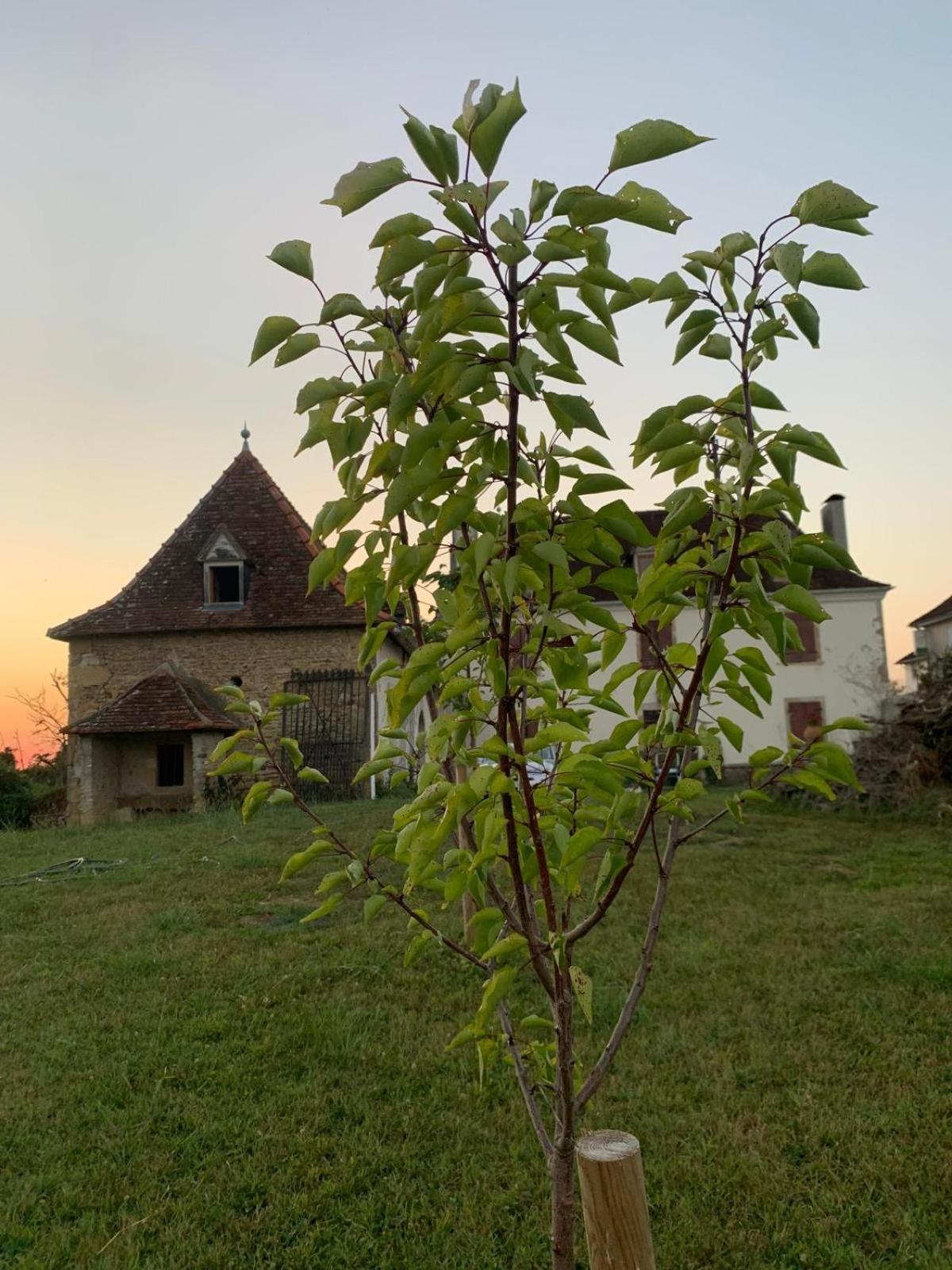 La Poesie Bed & Breakfast Lagor Exterior photo